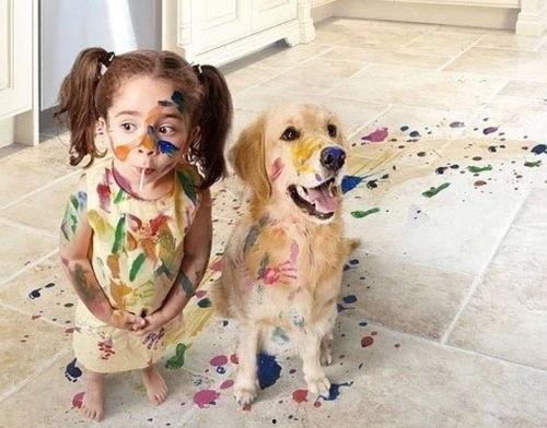 娱乐吃瓜酱爸爸的宠物,揭秘明星宠物的趣味生活